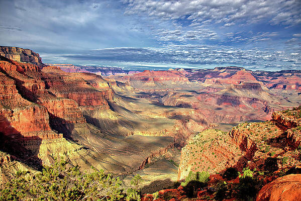 Arizona Photograph - The Grand Canyon by Bob Falcone