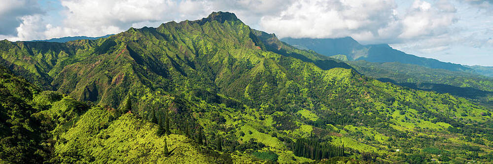 Landscape Wall Art featuring the photograph The Green Mountains Of Kauai by Slow Fuse Photography