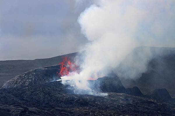 The growing shield by Christopher Mathews
