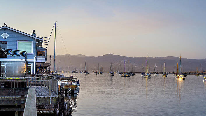 Wall Art featuring the photograph The Harbor by Gina Cinardo