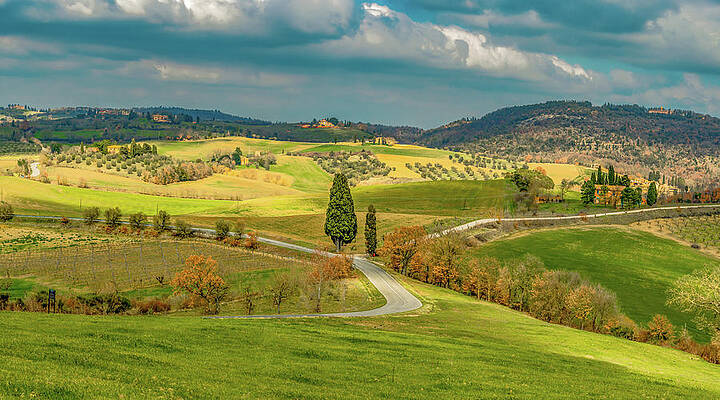 Vibrant Wall Art featuring the photograph The Hills Are Alive In Tuscany by Marcy Wielfaert