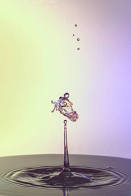 Abstract Wall Art featuring the photograph The Horse Head by Sue Leonard