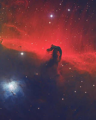 Cosmic Wall Art featuring the photograph The Horsehead by Bruce Feagle