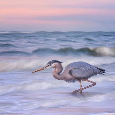 Wall Art featuring the mixed media The Hunter by Maryanne Keeling