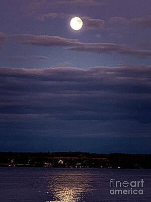 Serene Wall Art featuring the photograph The Hunter Moon by William Norton