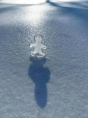 The Iceman Cometh by Richard Reeve