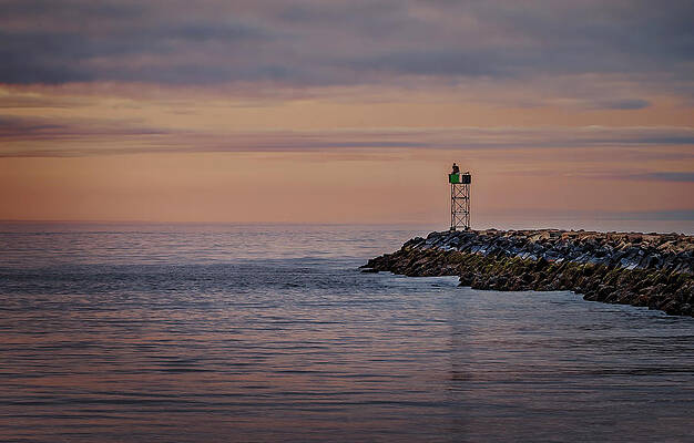 Wall Art featuring the photograph The Jetty by Penny Polakoff