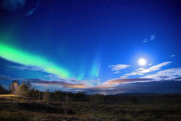 The Lady and the Moon by Christopher Mathews