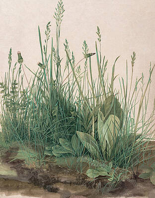 Modern Wall Art featuring the painting The Large Piece Of Turf By Albrecht Durer by The Luxury Art Collection