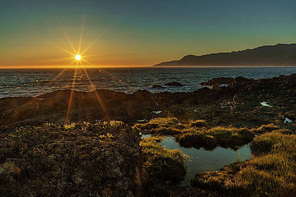 California Wall Art featuring the photograph The Last And The Lost by Tim Lyden