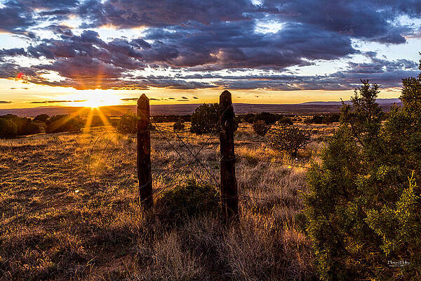 Sunset Over Grassland Fence Wall Art