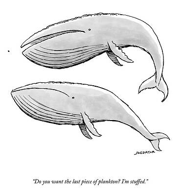 Sea Life Wall Art featuring the drawing The Last Piece Of Plankton by Joe Dator