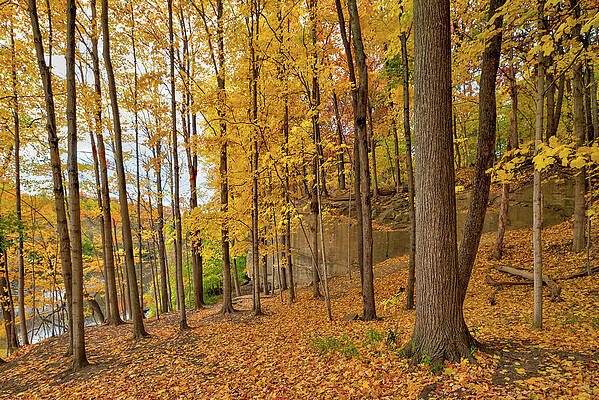 Fall Wall Art featuring the photograph The Ledges In Autumn by Michael Collins