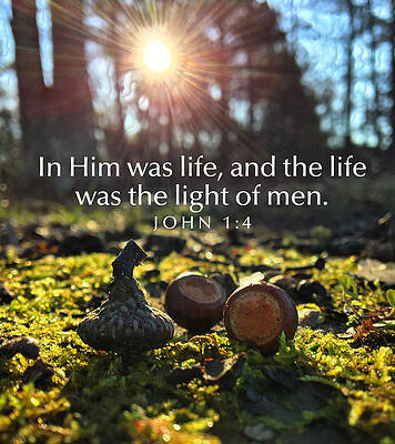 God Photograph - The Light Of Men by Greg Lane