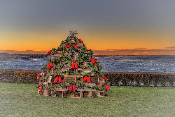 Wall Art featuring the photograph The Lobster Trap Tree by Penny Polakoff