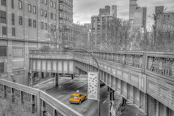 Wall Art featuring the photograph The Lonely Taxi by Penny Polakoff