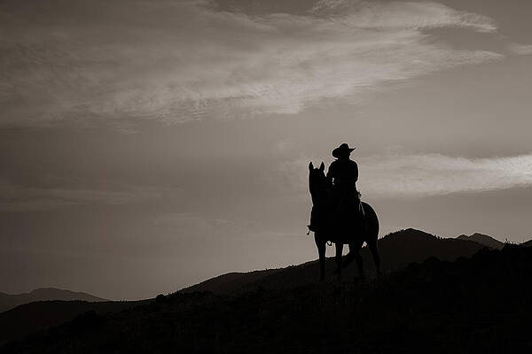 Wyoming Wall Art featuring the photograph The Lookout.. by Chris Allmendinger