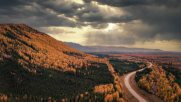 The Love Of The Road Print