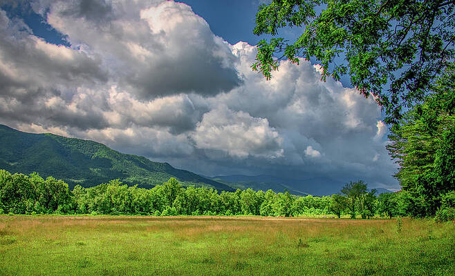 Vibrant Wall Art featuring the photograph The Magic Of A Cades Cove Summer by Marcy Wielfaert