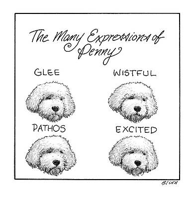 Cartoon Drawing - The Many Expressions Of Penny by Harry Bliss