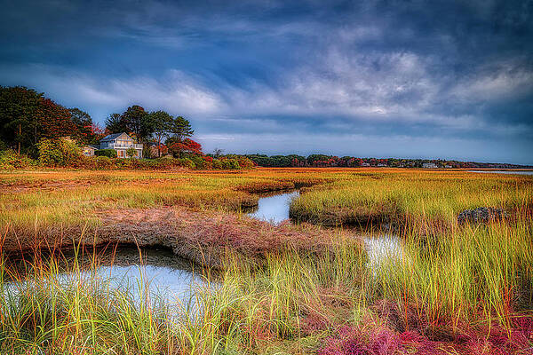 Maine Wall Art featuring the photograph The Marsh by Penny Polakoff