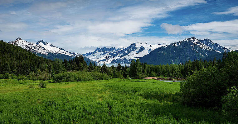 Wall Art featuring the photograph The Mendenhall Valley From Brotherhood Bridge Near Juneau In Ala by Steven Heap