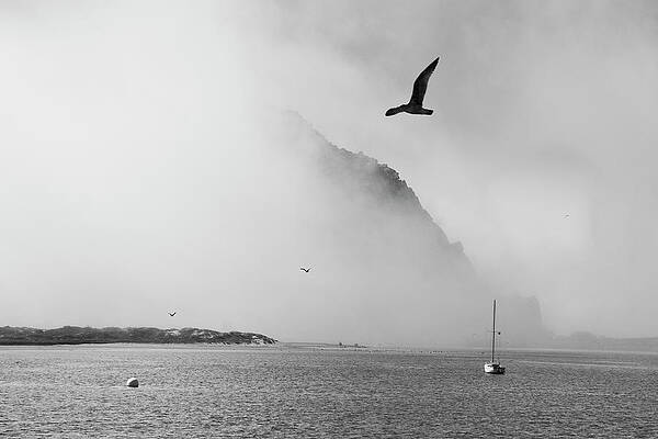 California Wall Art featuring the photograph The Mist by Gina Cinardo