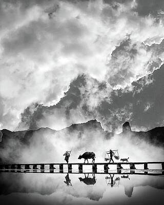 Photograph - The Mist by Sofie Conte