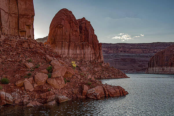 Flower Wall Art featuring the photograph The Mitten At Lake Powell by Bonnie Colgan
