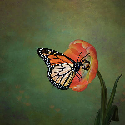 The Monarch's Visit Print