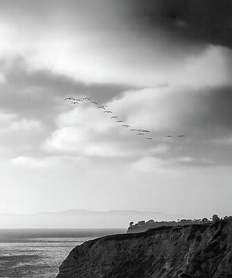 Wall Art featuring the photograph The Monochrome Return Of The 22 by Joe Schofield