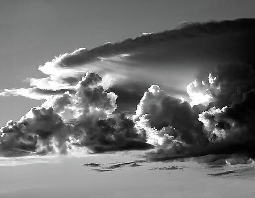 Wall Art featuring the photograph The Monsoonal Snarl by Joe Schofield