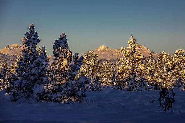 Bend Photograph - The Morning After by Tim Lyden