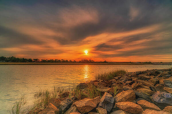 Wall Art featuring the photograph The Morning Glow by Penny Polakoff