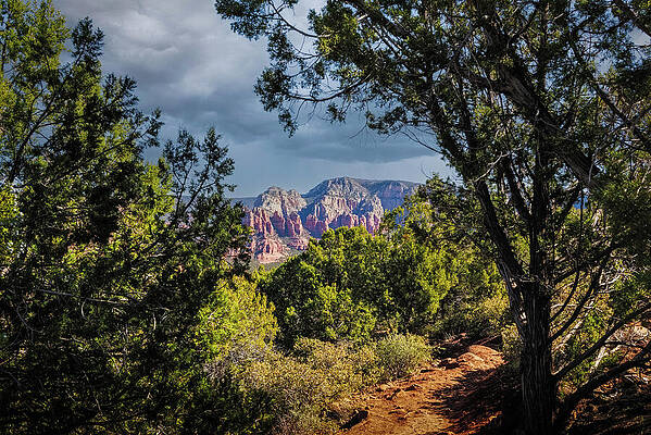Landscape Photograph - The Narrow Path by Jon Snyder