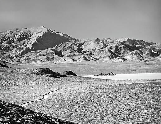 Wall Art featuring the photograph The Nelson Range And Racetrack Playa by Joe Schofield