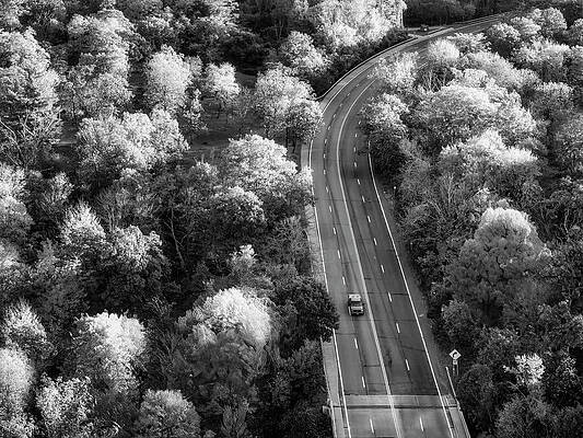 The Ny Autumn Drive Bw Print