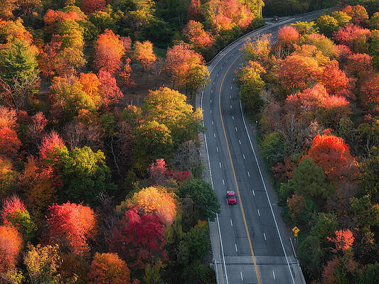 The Ny Autumn Drive Print