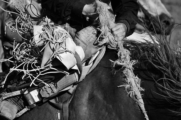 Cowboy Wall Art featuring the photograph The Other 9th Second by Alden White Ballard