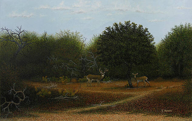 The Path by Eleazar Herrera