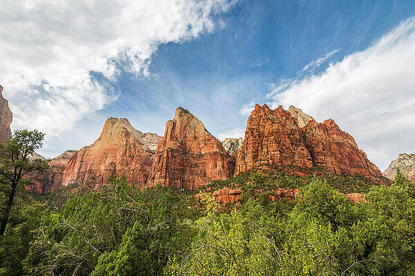 Utah Wall Art featuring the photograph The Patriarchs-2 by Diane Moller