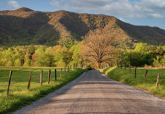 Country Photograph - The Perfect Light Of A Sparks Lane Morning by Marcy Wielfaert