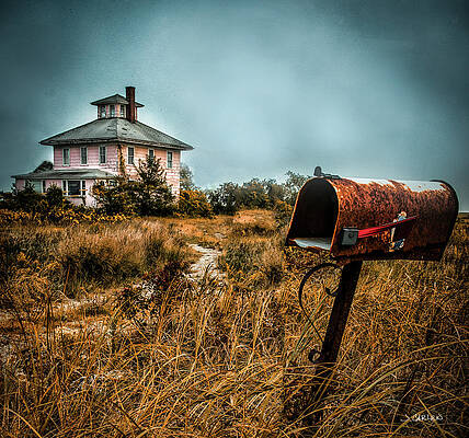 The Pink House and Mailbox by Jim Carlen