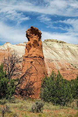Utah Wall Art featuring the photograph The Pinnacle by Diane Moller