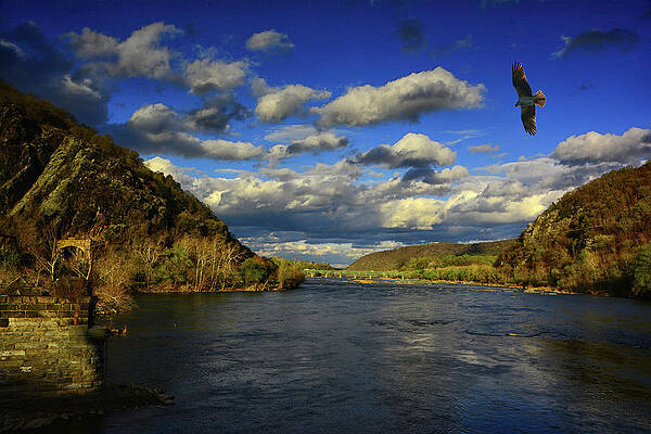 The Point Shenandoah And Potomac River Converge Print