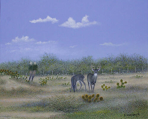 The Property Line by Eleazar Herrera