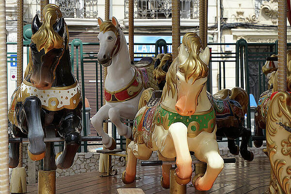 Spain Photograph - The Race Is On by Richard Reeve