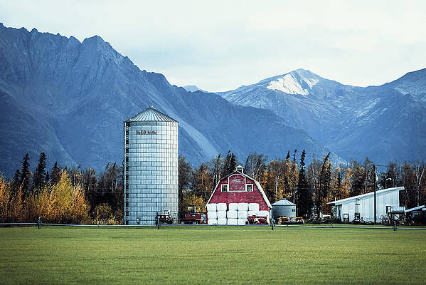 Natural Photograph - The Red Barn In Palmer Alaska by David Morefield
