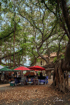 Nature Wall Art featuring the photograph The Red Unbrellas by Charlie Osborn