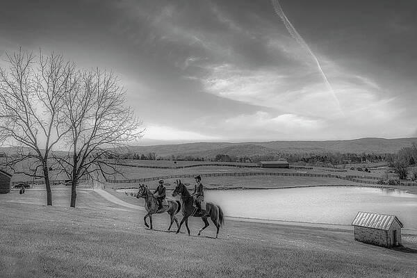 Wall Art featuring the photograph The Riders by Penny Polakoff